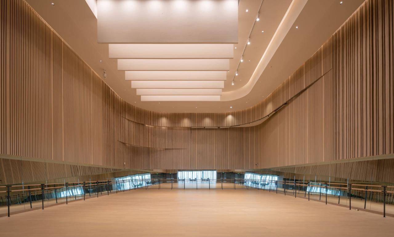 BIM建筑|深圳宝安文化区演艺中心 / 严迅奇建筑师事务所 BIM建筑|深圳宝安文化区演艺中心 / 严迅奇建筑师事务所