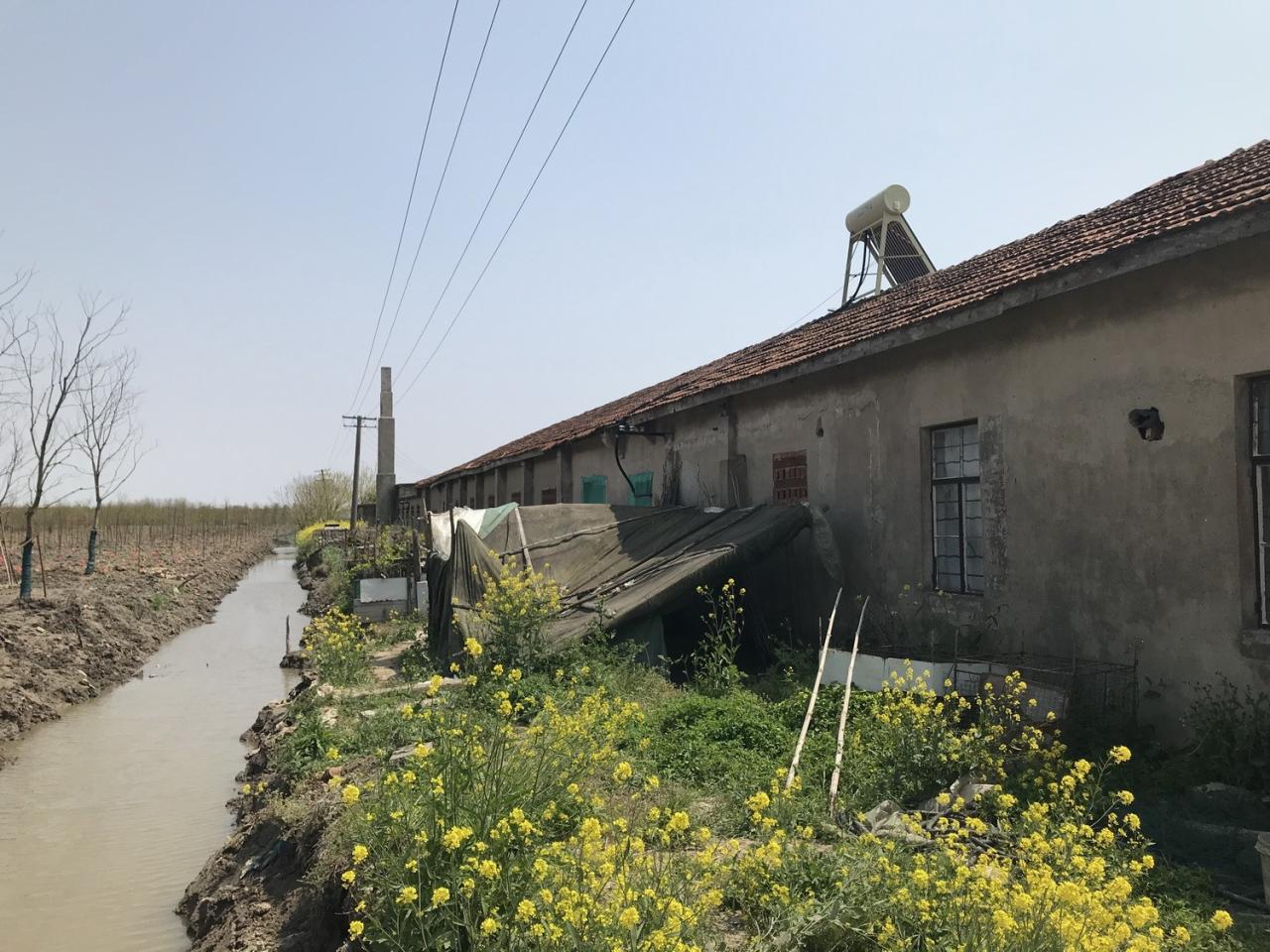 BIM建筑|凡人三部曲:黄金晒谷场 / Wutopia Lab BIM建筑|凡人三部曲:黄金晒谷场 / Wutopia Lab