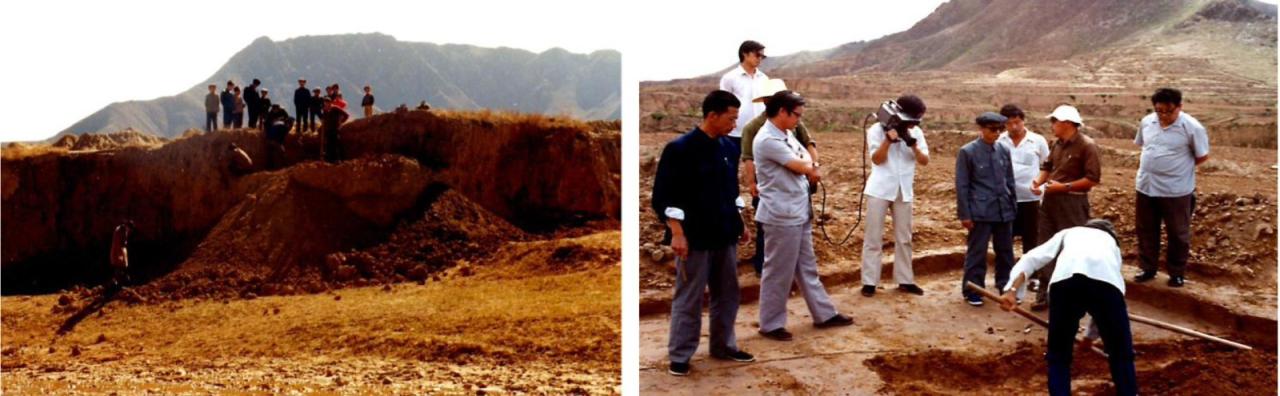 BIM建筑|张家口图书馆,创造城市的精神呼吸 / 王大泉 BIM建筑|张家口图书馆,创造城市的精神呼吸 / 王大泉