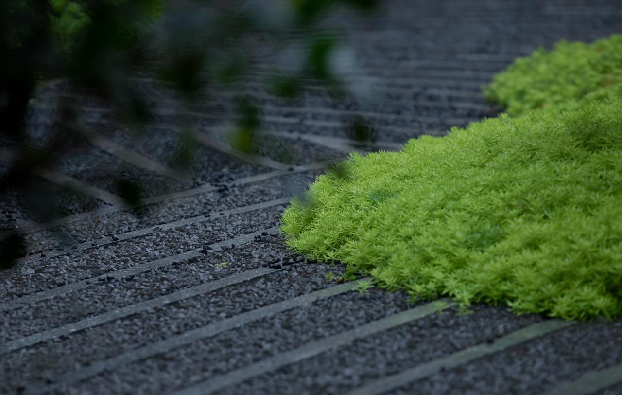 BIM建筑|城市山林 大家宅园 / ZSD卓时 BIM建筑|城市山林 大家宅园 / ZSD卓时