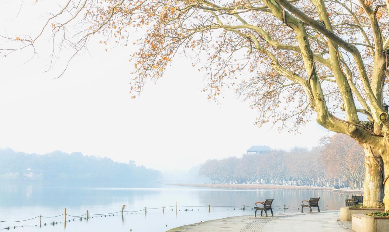 BIM建筑|城市山林 大家宅园 / ZSD卓时 BIM建筑|城市山林 大家宅园 / ZSD卓时
