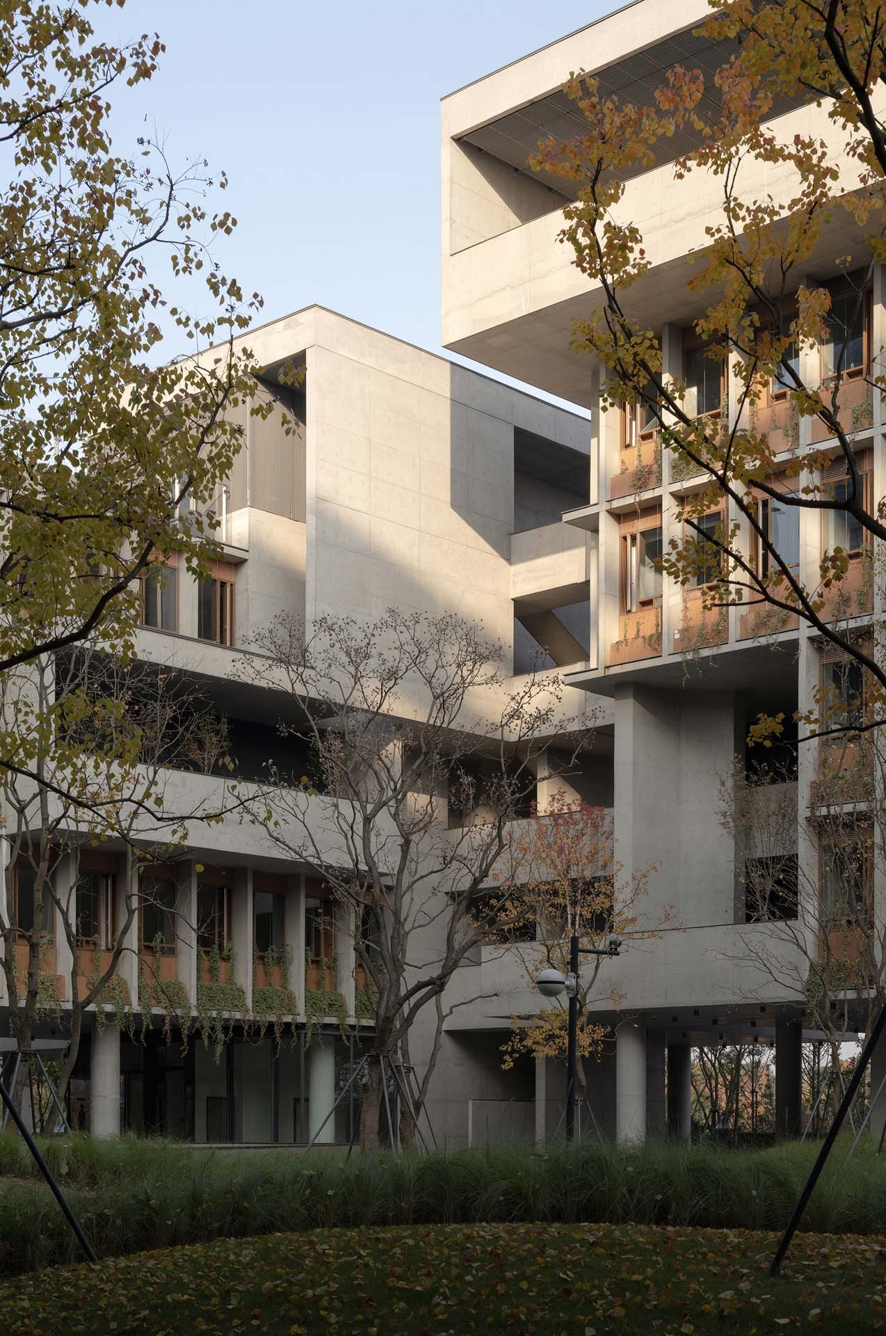 BIM建筑|成都麓湖漂浮总部办公楼 / 直向建筑 BIM建筑|成都麓湖漂浮总部办公楼 / 直向建筑