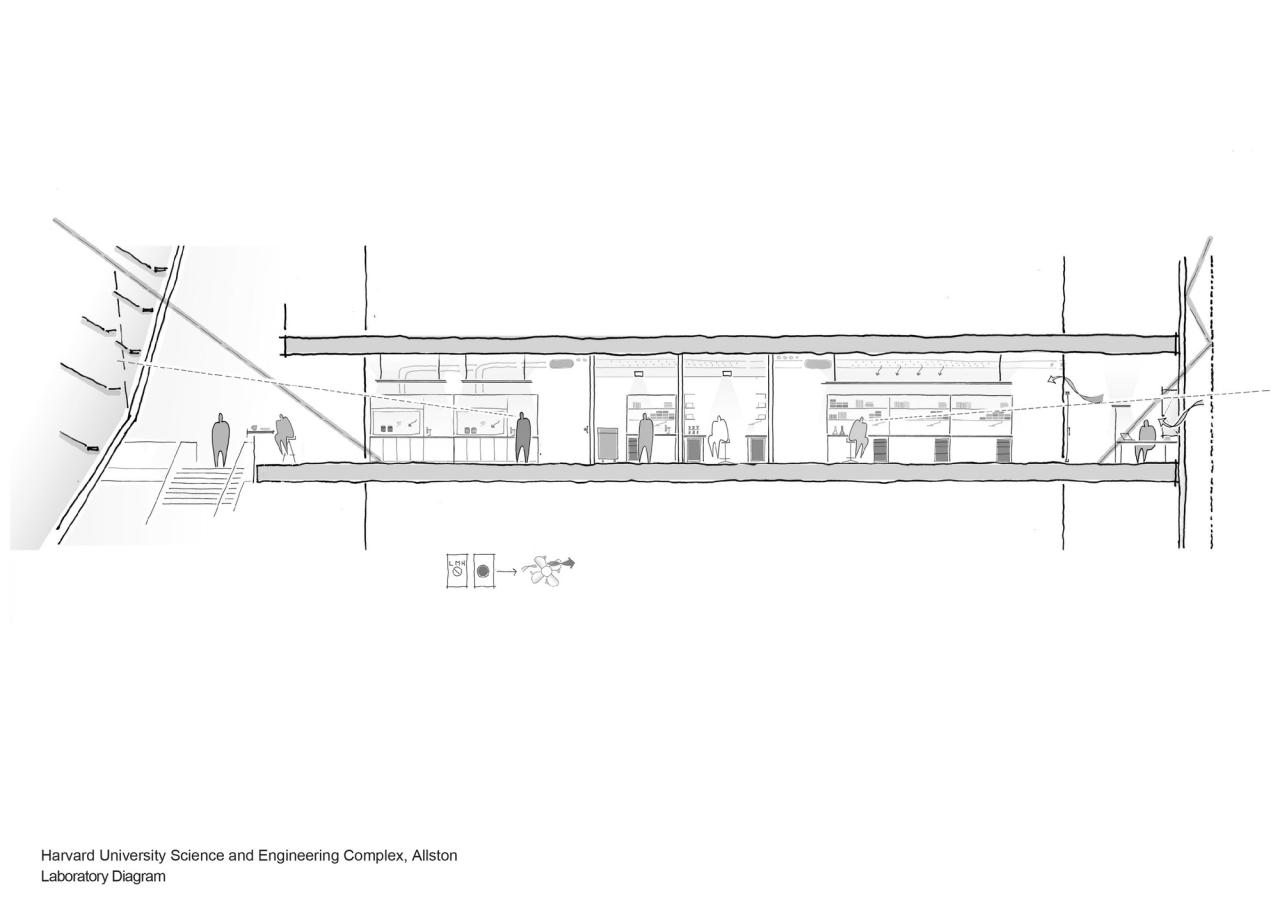 BIM建筑|哈佛大学科学与工程综合楼 / 贝尼奇建筑事务所 BIM建筑|哈佛大学科学与工程综合楼 / 贝尼奇建筑事务所