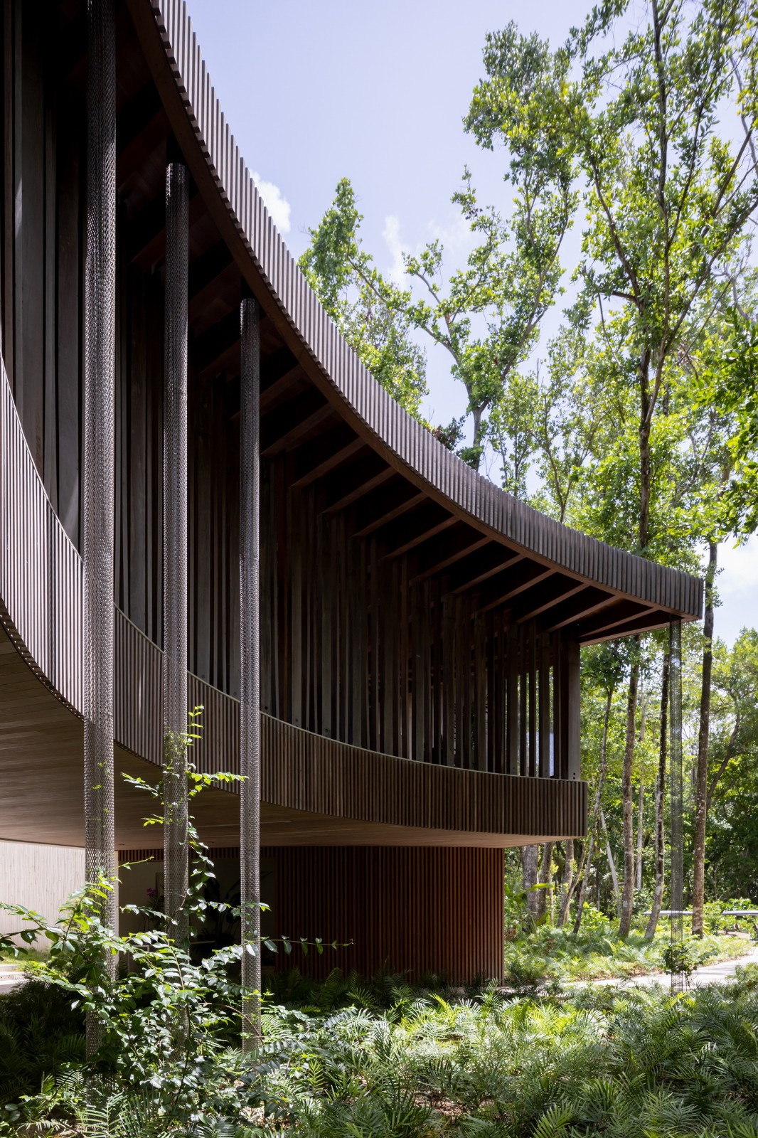 BIM建筑|Las Olas 度假屋 / Young Projects BIM建筑|Las Olas 度假屋 / Young Projects