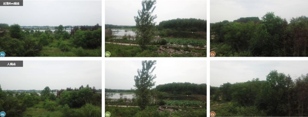 BIM建筑|长在《诗经》里的建筑,嘉鱼诗经美学馆 / BA作品 BIM建筑|长在《诗经》里的建筑,嘉鱼诗经美学馆 / BA作品