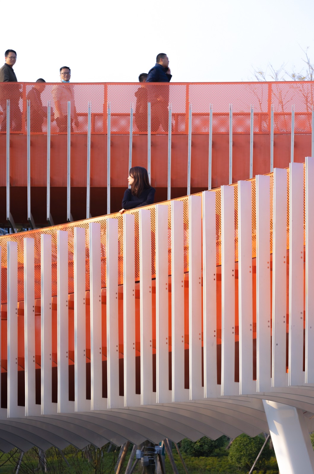 BIM建筑|成都大运会东安湖场馆景观连廊 / 四周建筑 BIM建筑|成都大运会东安湖场馆景观连廊 / 四周建筑