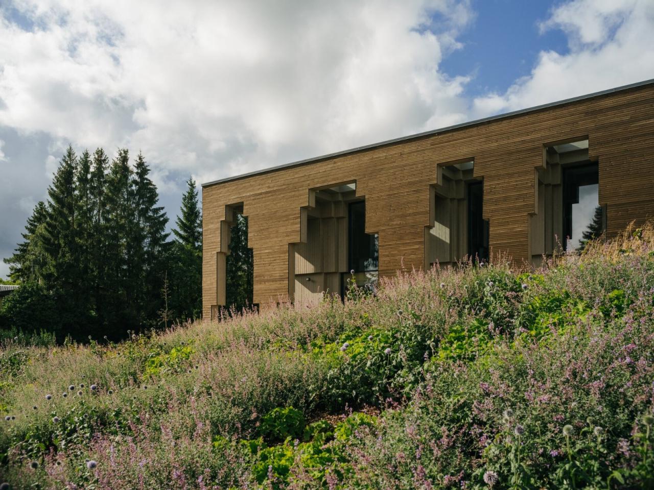 BIM建筑|Saue 乡村市政建筑 / molumba BIM建筑|Saue 乡村市政建筑 / molumba