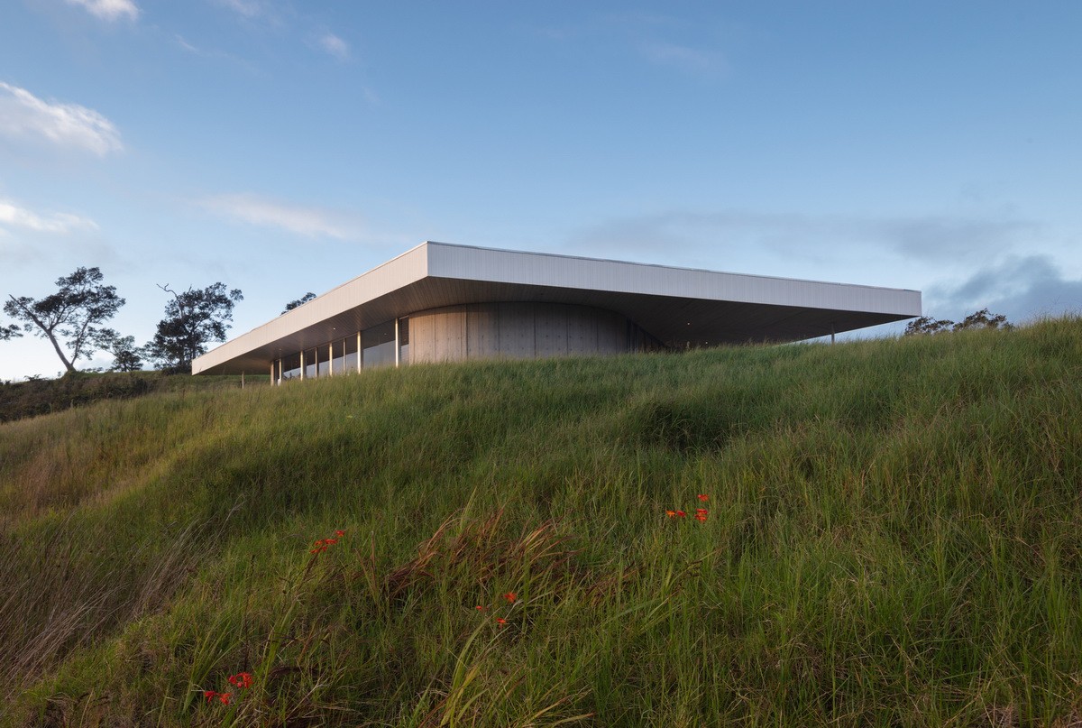 BIM建筑|三角饭团之家,Musubi 住宅 / Craig Steely Architecture BIM建筑|三角饭团之家,Musubi 住宅 / Craig Steely Architecture