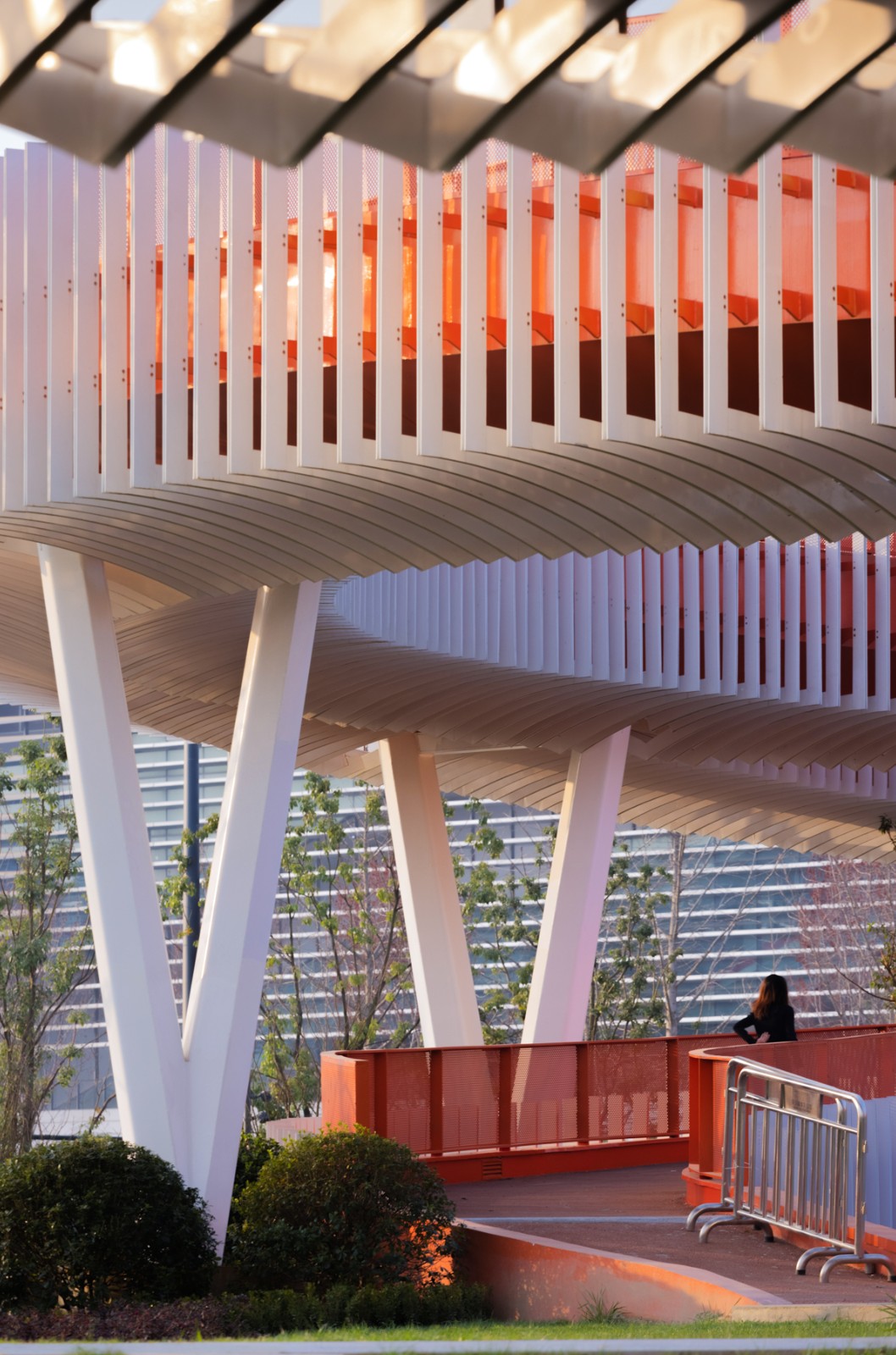 BIM建筑|成都大运会东安湖场馆景观连廊 / 四周建筑 BIM建筑|成都大运会东安湖场馆景观连廊 / 四周建筑