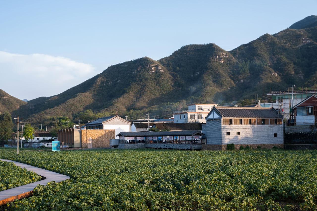 BIM建筑|田岗知行村:乡村会客厅 / 袈蓝建筑 BIM建筑|田岗知行村:乡村会客厅 / 袈蓝建筑