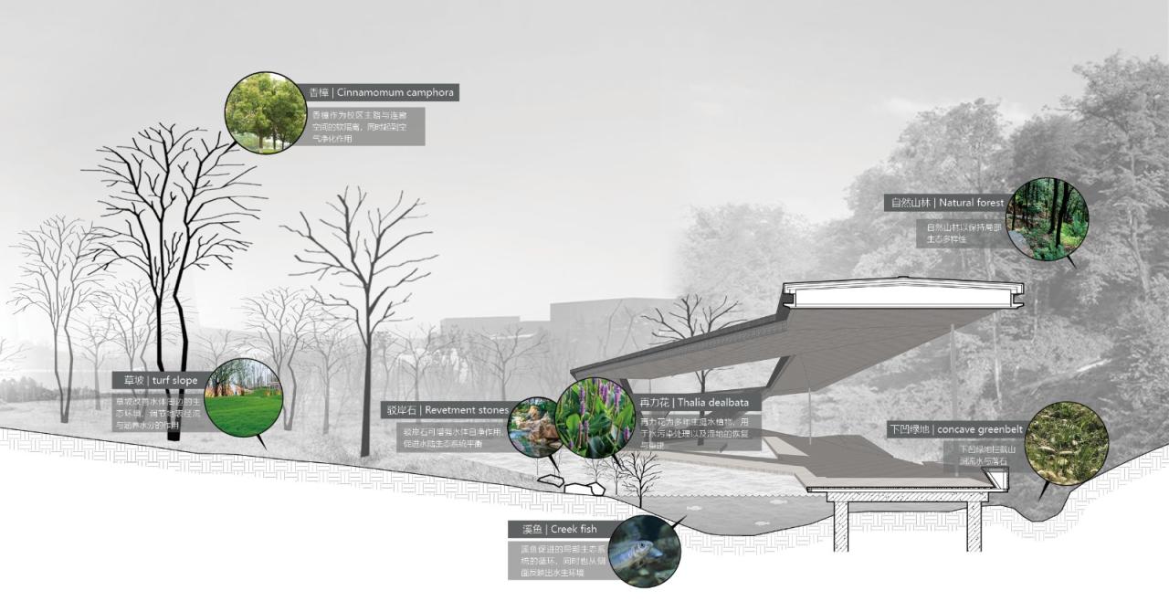 BIM建筑|溪上飞檐:浙江音乐学院校园微更新 / 朱培栋-line+建筑事务所、gad BIM建筑|溪上飞檐:浙江音乐学院校园微更新 / 朱培栋-line+建筑事务所、gad