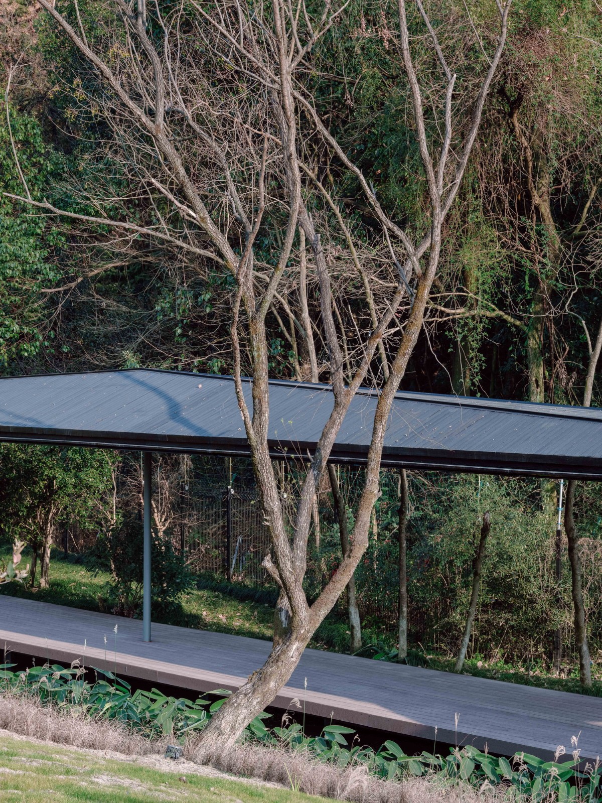 BIM建筑|溪上飞檐:浙江音乐学院校园微更新 / 朱培栋-line+建筑事务所、gad BIM建筑|溪上飞檐:浙江音乐学院校园微更新 / 朱培栋-line+建筑事务所、gad