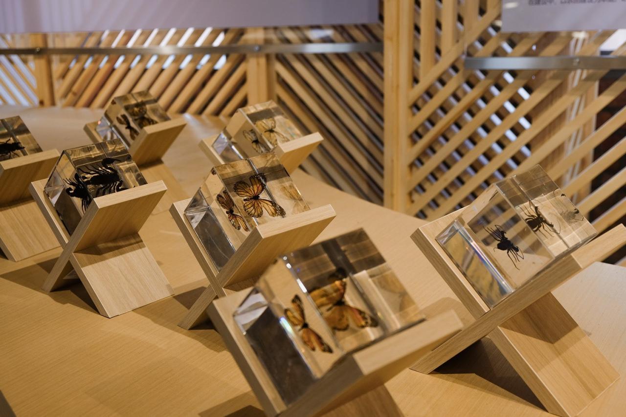 BIM建筑|青龙湖·漂浮种子:自我更新 / 小隐建筑事务所 BIM建筑|青龙湖·漂浮种子:自我更新 / 小隐建筑事务所