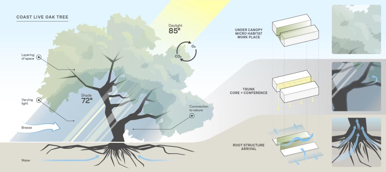 BIM建筑|斯坦福大学医学院学术医学中心 / HOK BIM建筑|斯坦福大学医学院学术医学中心 / HOK