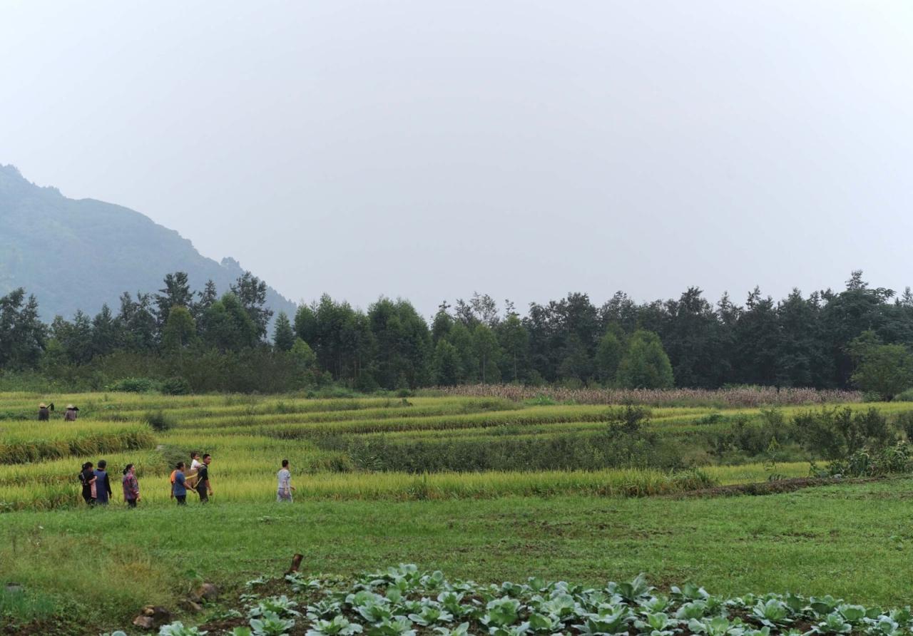 BIM建筑|峨眉山高桥小镇 / 超级平常空间设计 BIM建筑|峨眉山高桥小镇 / 超级平常空间设计