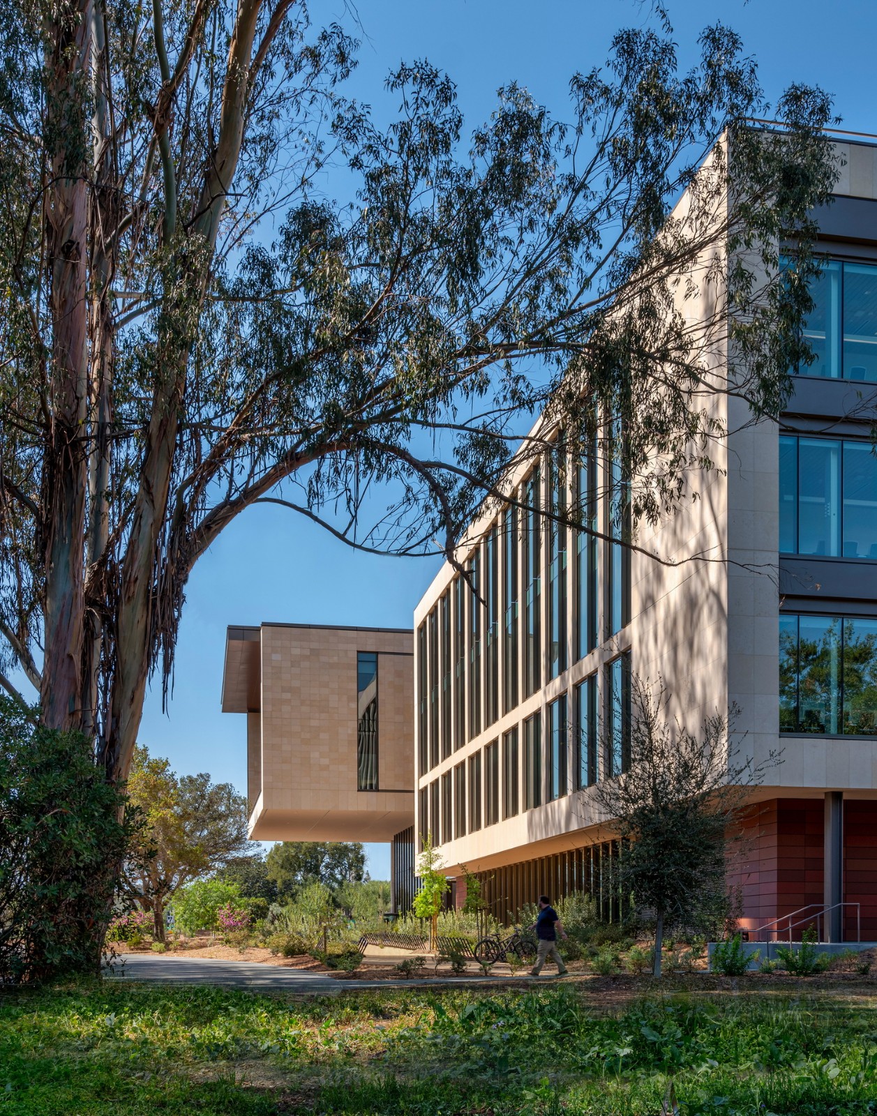 BIM建筑|斯坦福大学医学院学术医学中心 / HOK BIM建筑|斯坦福大学医学院学术医学中心 / HOK