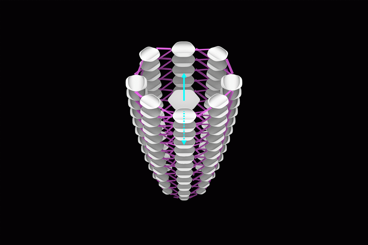 BIM建筑|5个获奖作品,全球最大元宇宙平台Decentraland建筑大赛 / CAA LAB BIM建筑|5个获奖作品,全球最大元宇宙平台Decentraland建筑大赛 / CAA LAB