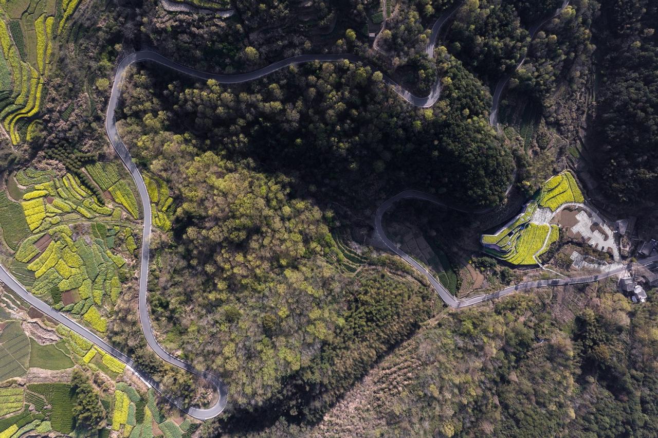 BIM建筑|消隐的建筑,内化的乡土——桑洲清溪文史馆 / UAD BIM建筑|消隐的建筑,内化的乡土——桑洲清溪文史馆 / UAD