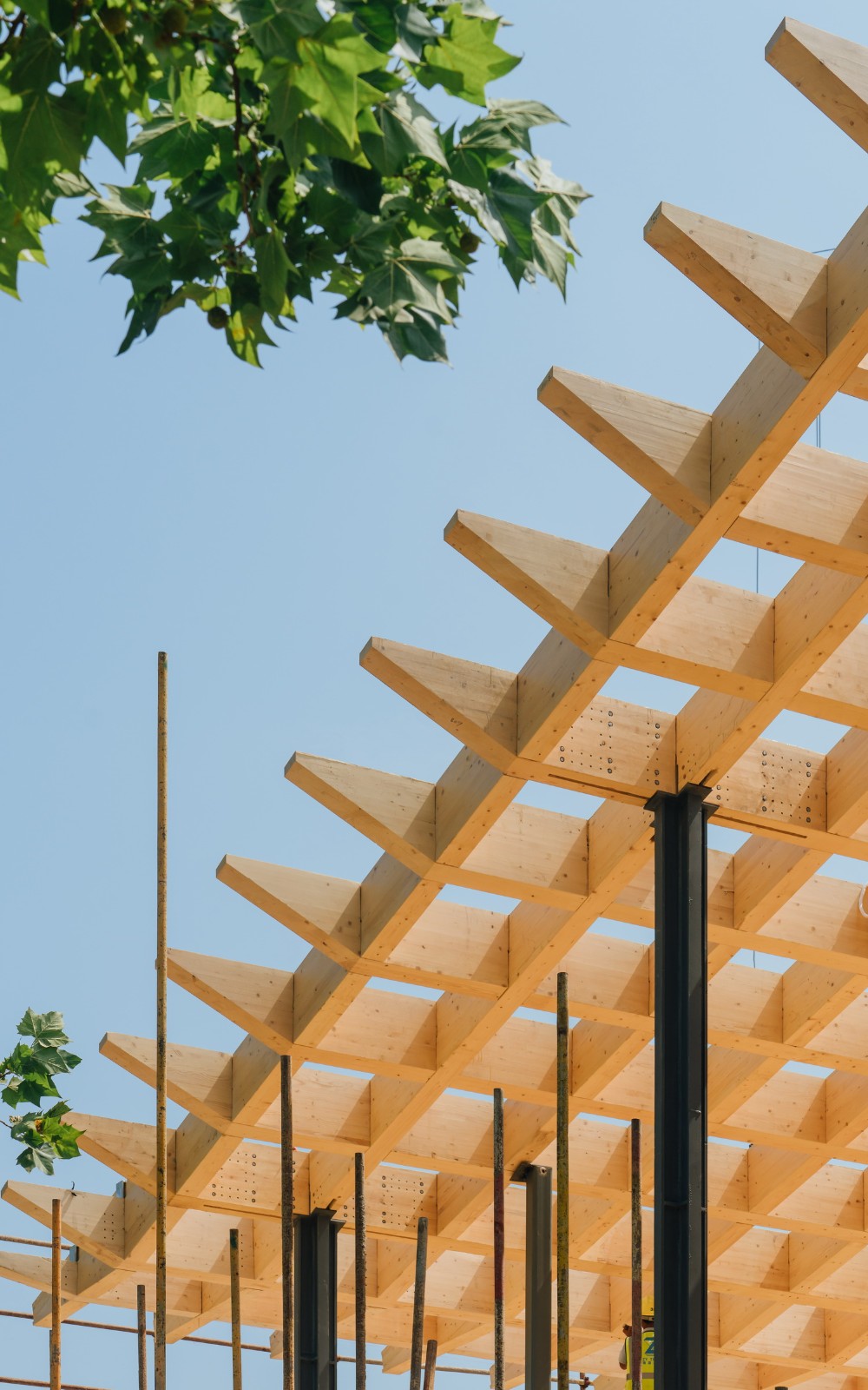 BIM建筑|普罗理想国集市 / a9a建筑设计事务所 BIM建筑|普罗理想国集市 / a9a建筑设计事务所