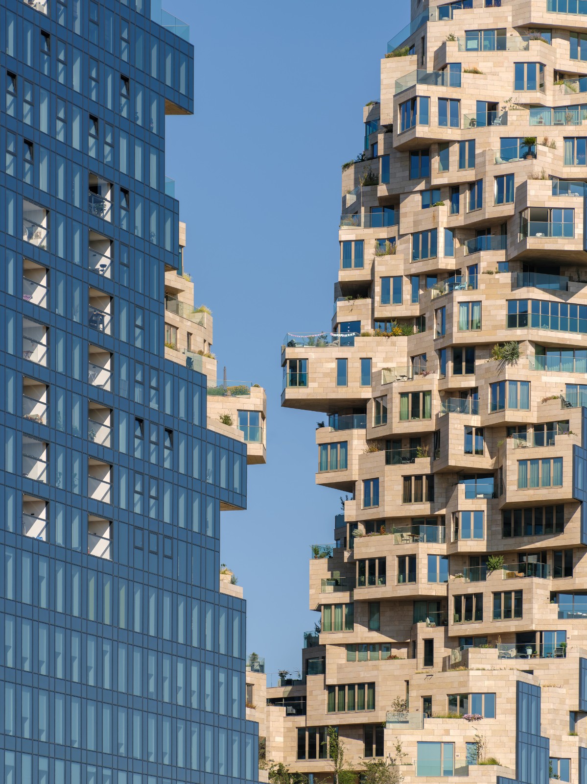 BIM建筑|“山谷”塔楼群 / MVRDV BIM建筑|“山谷”塔楼群 / MVRDV