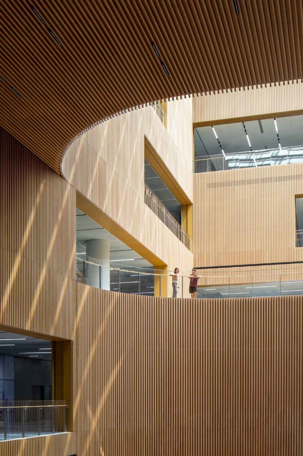 BIM建筑|上海图书馆东馆 / SHL BIM建筑|上海图书馆东馆 / SHL