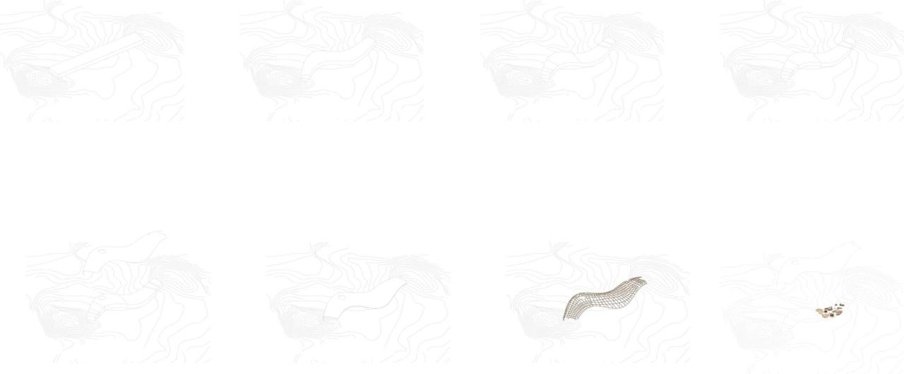 BIM建筑|新余树蛙自然体验中心 / 度向建筑 BIM建筑|新余树蛙自然体验中心 / 度向建筑