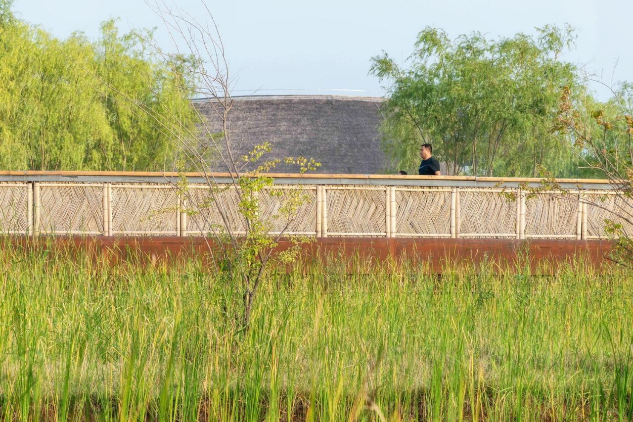 BIM建筑|雄安白洋淀水岸公园 / TLS景观设计事务所 BIM建筑|雄安白洋淀水岸公园 / TLS景观设计事务所