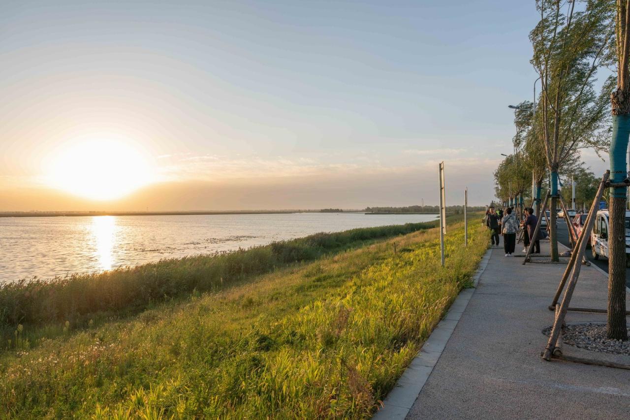 BIM建筑|雄安白洋淀水岸公园 / TLS景观设计事务所 BIM建筑|雄安白洋淀水岸公园 / TLS景观设计事务所