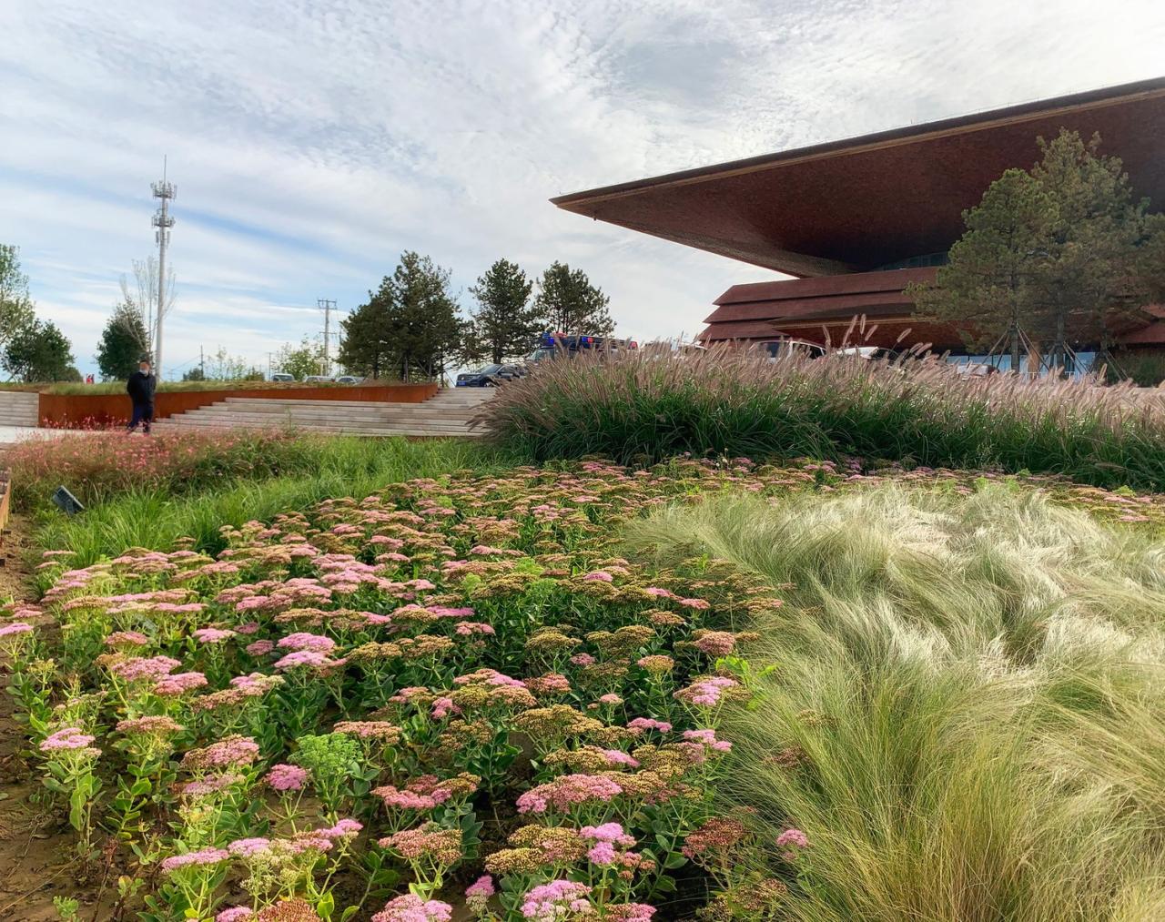 BIM建筑|雄安白洋淀水岸公园 / TLS景观设计事务所 BIM建筑|雄安白洋淀水岸公园 / TLS景观设计事务所