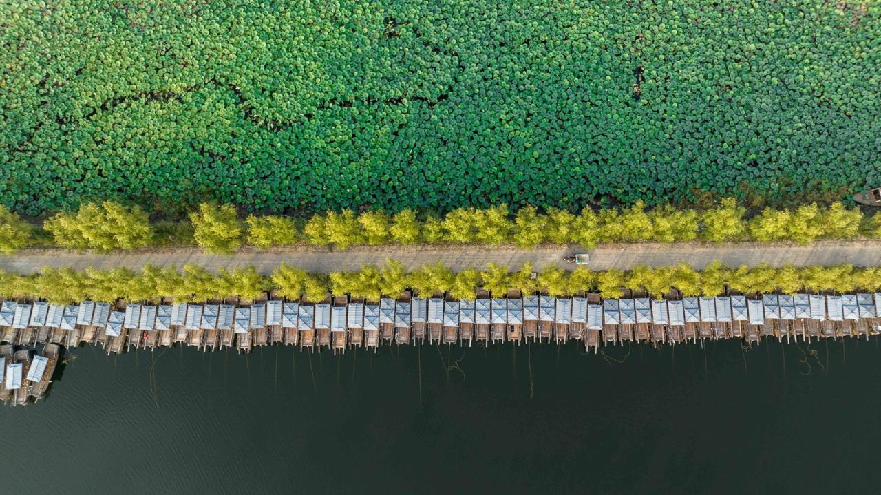 BIM建筑|雄安白洋淀水岸公园 / TLS景观设计事务所 BIM建筑|雄安白洋淀水岸公园 / TLS景观设计事务所