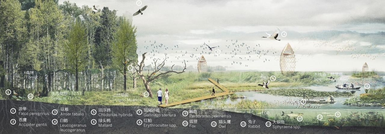 BIM建筑|雄安白洋淀水岸公园 / TLS景观设计事务所 BIM建筑|雄安白洋淀水岸公园 / TLS景观设计事务所