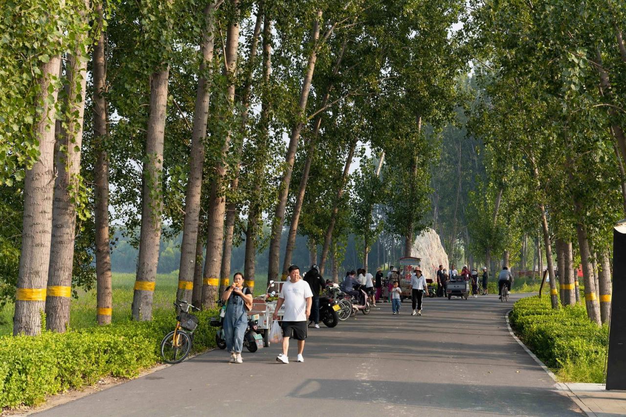 BIM建筑|雄安白洋淀水岸公园 / TLS景观设计事务所 BIM建筑|雄安白洋淀水岸公园 / TLS景观设计事务所