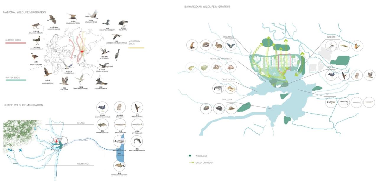 BIM建筑|雄安白洋淀水岸公园 / TLS景观设计事务所 BIM建筑|雄安白洋淀水岸公园 / TLS景观设计事务所