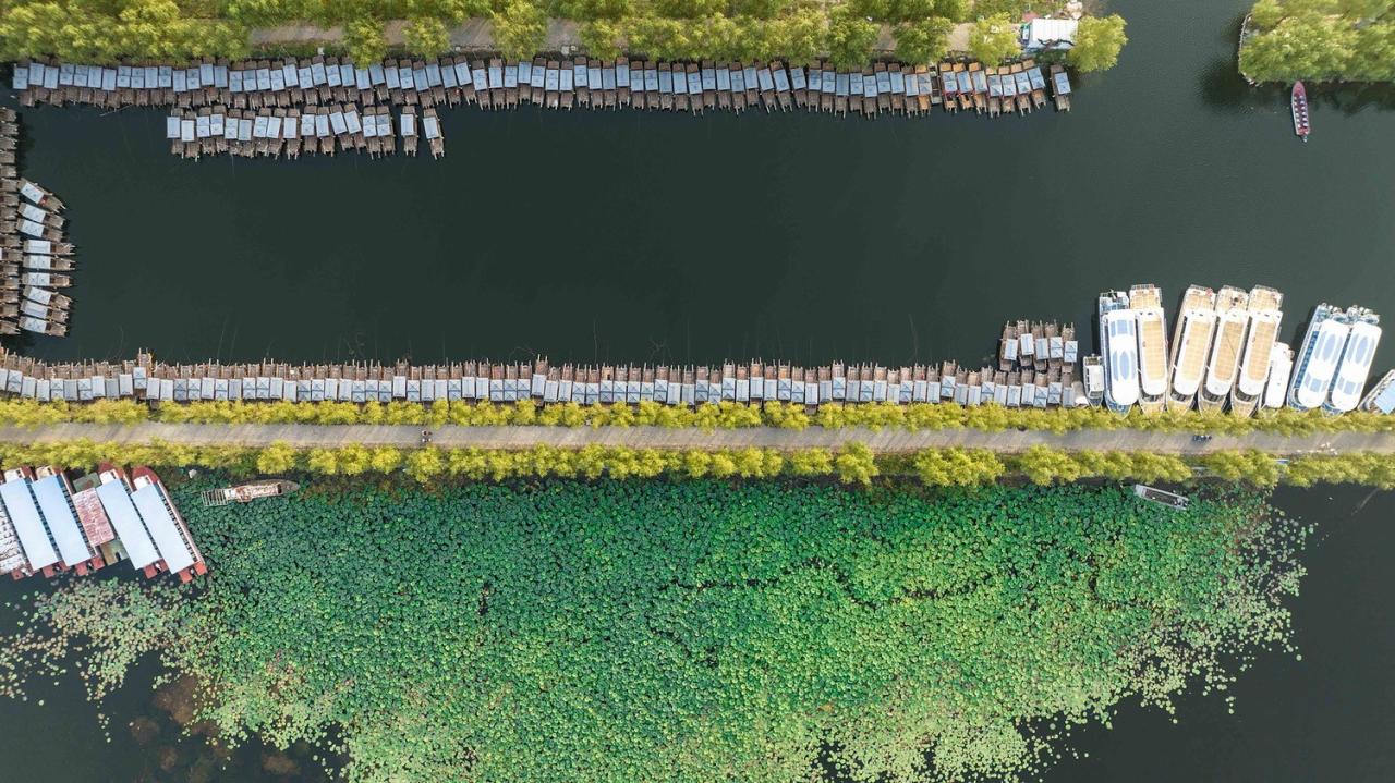 BIM建筑|雄安白洋淀水岸公园 / TLS景观设计事务所 BIM建筑|雄安白洋淀水岸公园 / TLS景观设计事务所