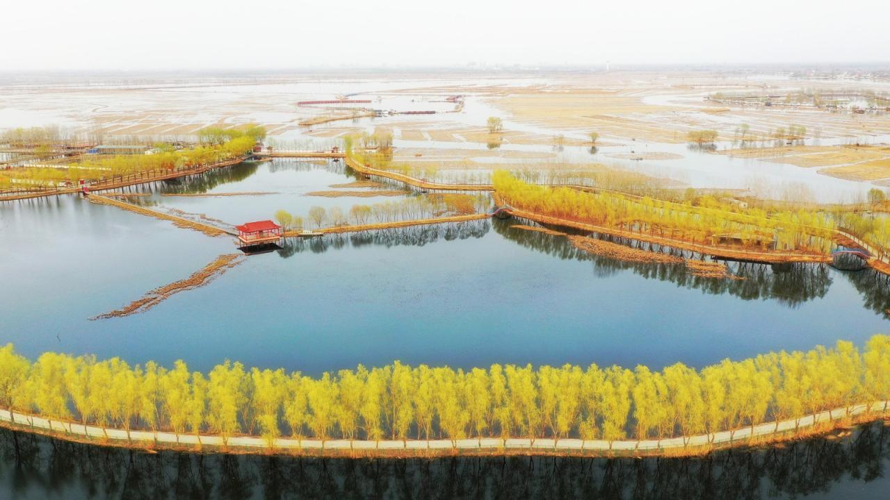 BIM建筑|雄安白洋淀水岸公园 / TLS景观设计事务所 BIM建筑|雄安白洋淀水岸公园 / TLS景观设计事务所