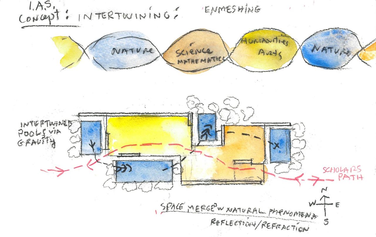 BIM建筑|普林斯顿高等研究院鲁宾斯坦公共活动室 / 斯蒂文·霍尔建筑事务所 BIM建筑|普林斯顿高等研究院鲁宾斯坦公共活动室 / 斯蒂文·霍尔建筑事务所