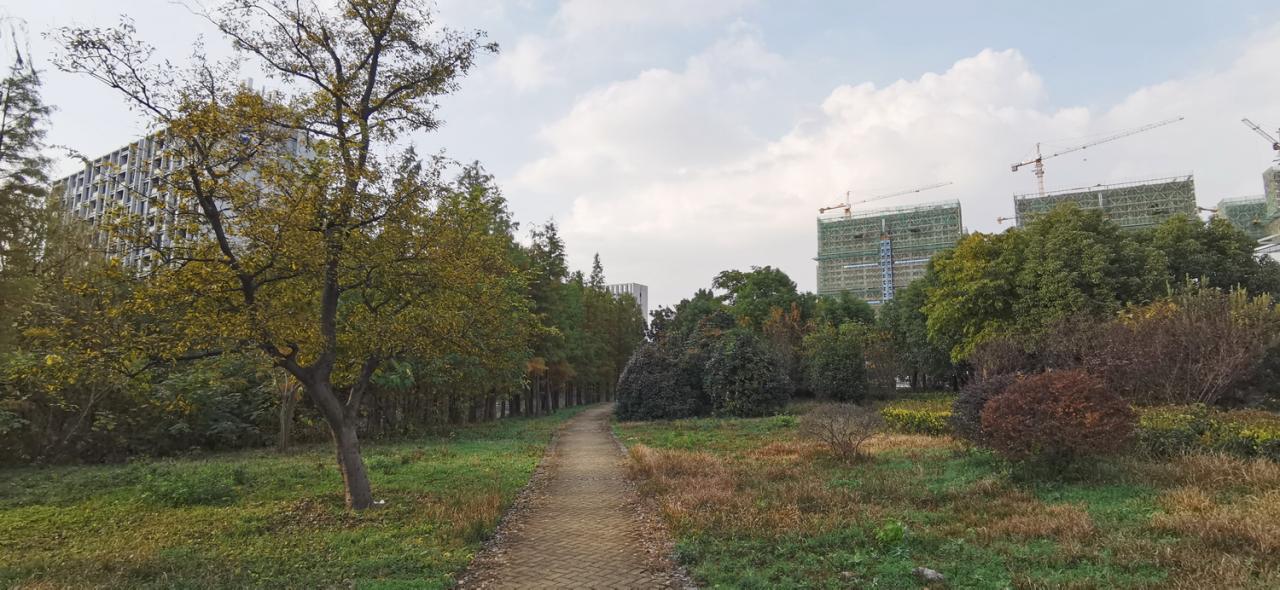 BIM建筑|遇见未来——510生活广场改造 / 简和建筑 BIM建筑|遇见未来——510生活广场改造 / 简和建筑