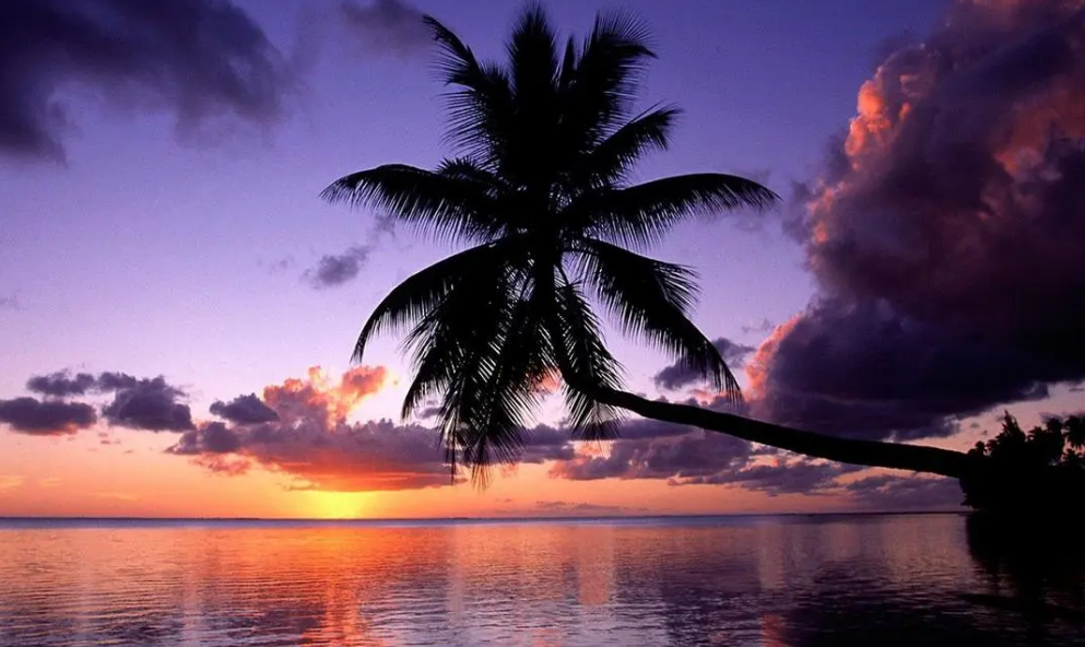 BIM问答|BIM技术在场地规划中的作用包括哪些? BIM问答|BIM技术在场地规划中的作用包括哪些?