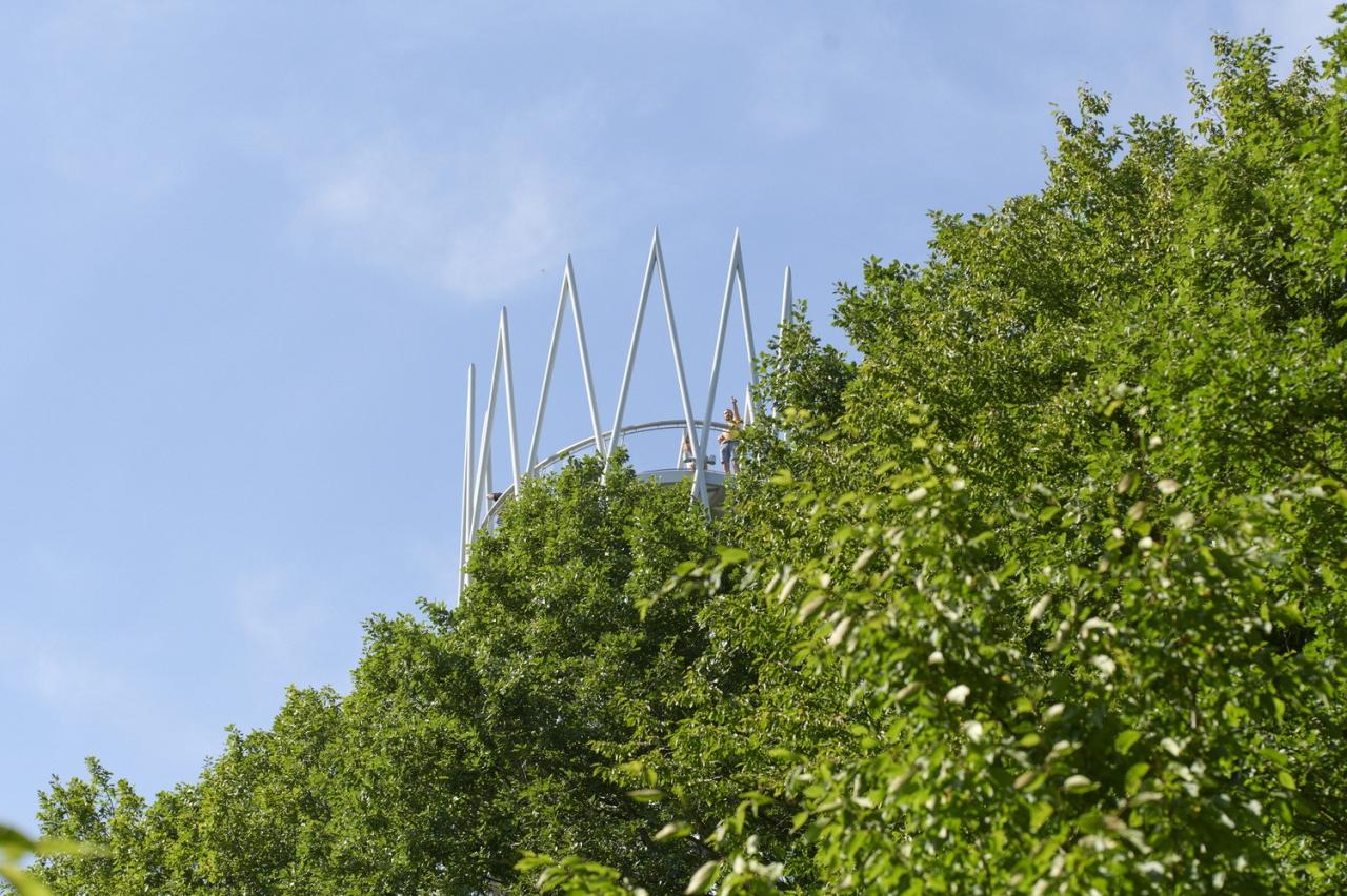 BIM建筑|Hardtbergturm 瞭望塔 / Wolfgang Ott Architekt BDA BIM建筑|Hardtbergturm 瞭望塔 / Wolfgang Ott Architekt BDA