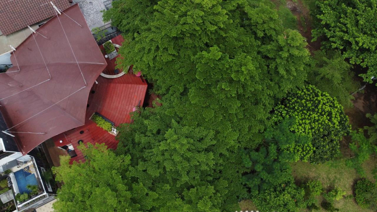 BIM建筑|树冠花园 Tanatap / RAD+ar (Research Artistic Design + architecture) BIM建筑|树冠花园 Tanatap / RAD+ar (Research Artistic Design + architecture)