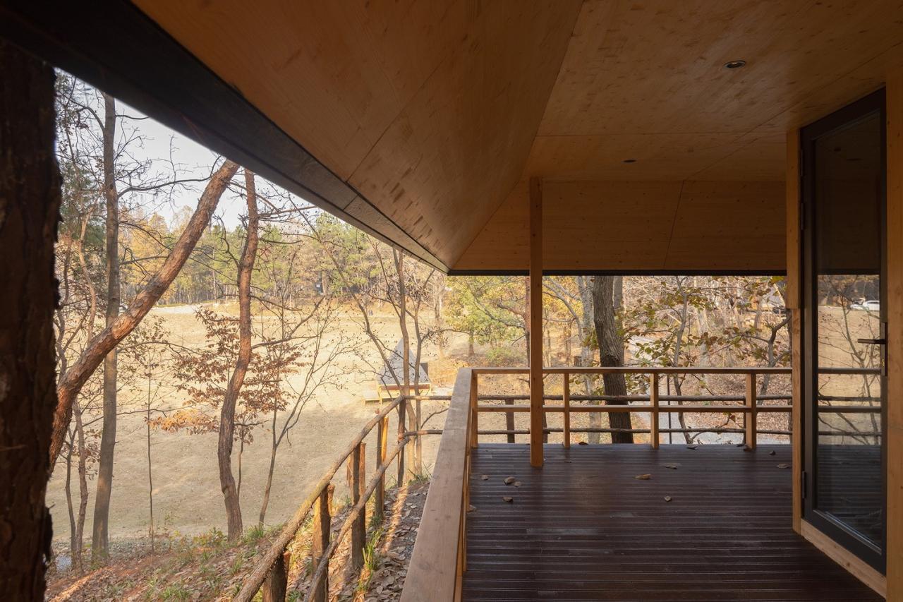 BIM建筑|荒野之家 #96# - 金字塔 / 个个世界 + 先进建筑实验室AaL BIM建筑|荒野之家 #96# - 金字塔 / 个个世界 + 先进建筑实验室AaL