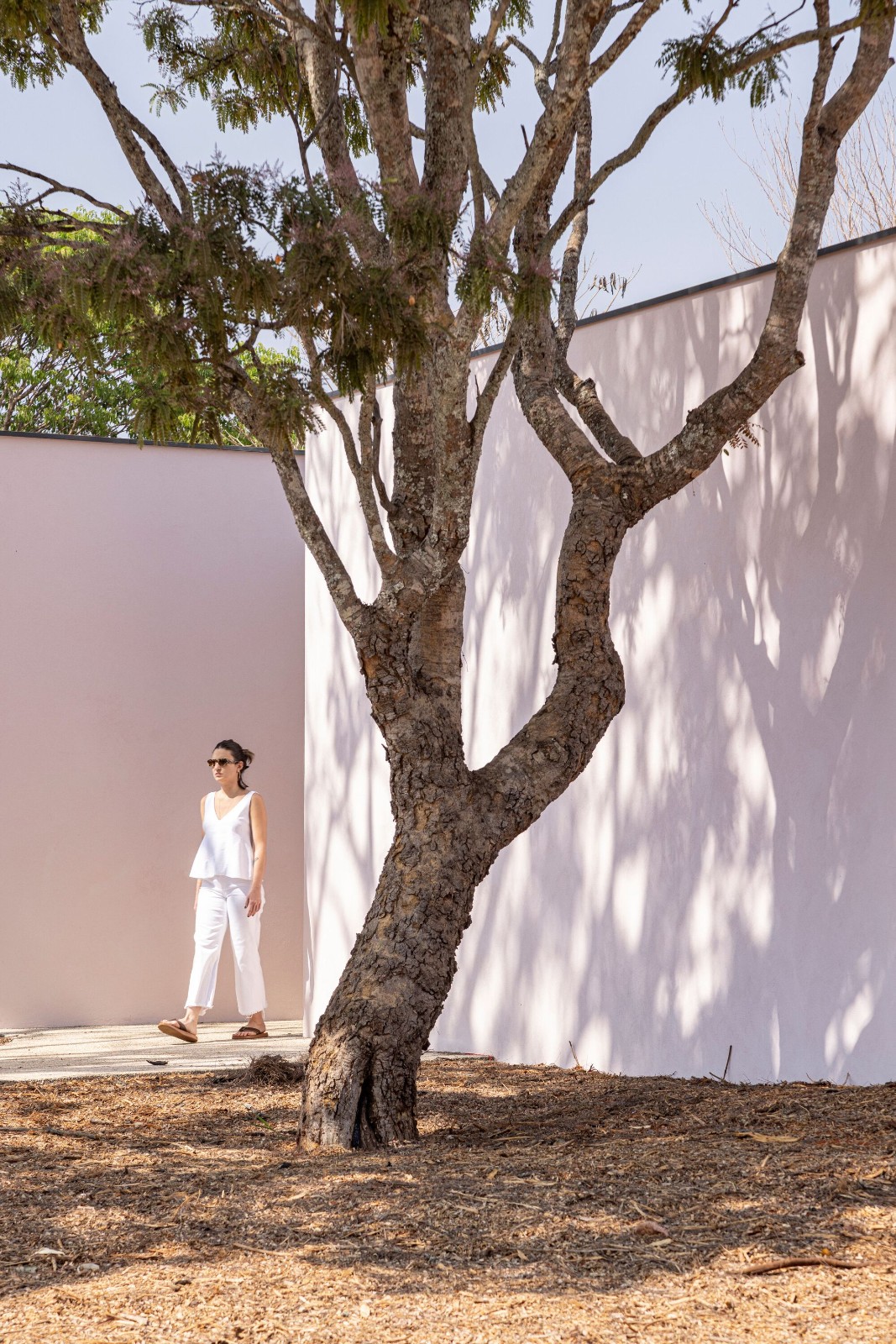 BIM建筑|Cata-vento 住宅 / Equipe Lamas BIM建筑|Cata-vento 住宅 / Equipe Lamas