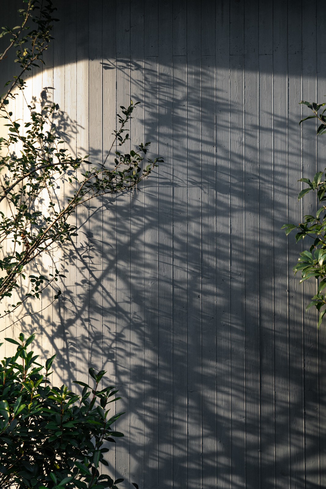 BIM建筑|对话童心,天性乐园:杭州江南实验学校教育集团江晖小学 / 浙江大学建筑设计研究院 BIM建筑|对话童心,天性乐园:杭州江南实验学校教育集团江晖小学 / 浙江大学建筑设计研究院