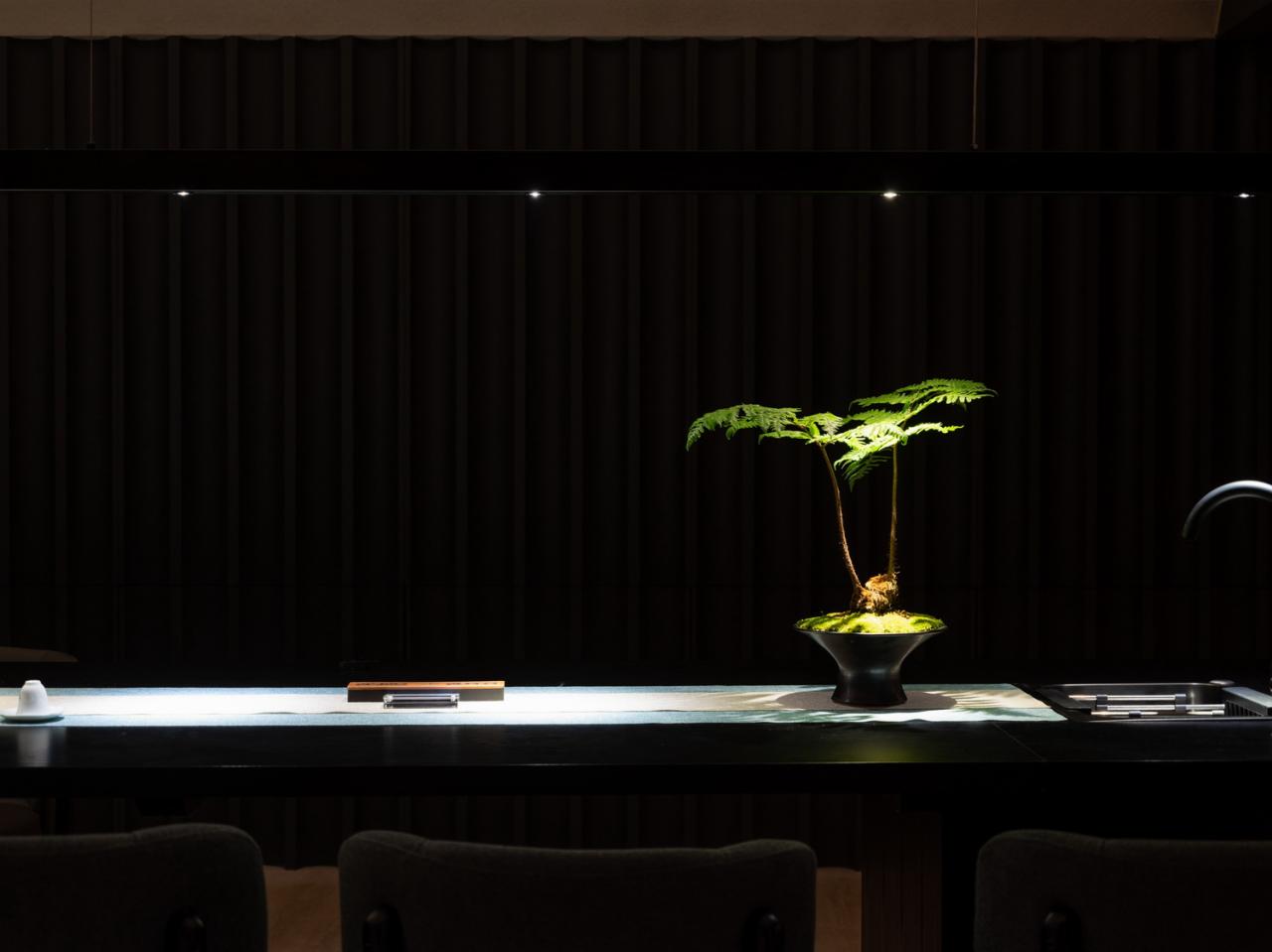 BIM建筑|身体与精神的疗愈:指沐-水印spa / 元秀万建筑事务所 BIM建筑|身体与精神的疗愈:指沐-水印spa / 元秀万建筑事务所