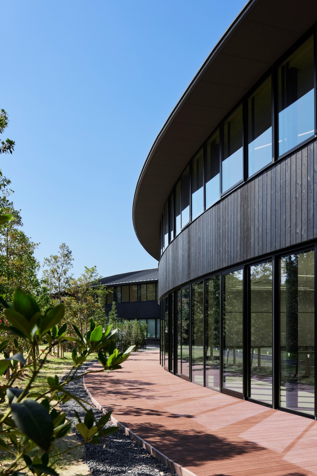 BIM建筑|爱光学园 / 大成建设 BIM建筑|爱光学园 / 大成建设