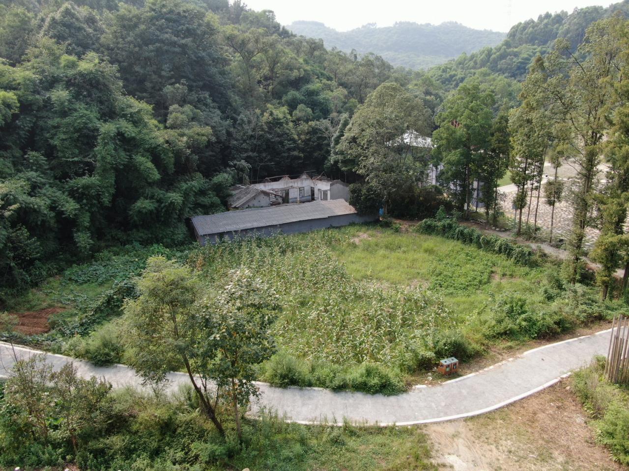 BIM建筑|竹文化的意象解读:崇州·竹艺村游客中心 / 小隐建筑 BIM建筑|竹文化的意象解读:崇州·竹艺村游客中心 / 小隐建筑