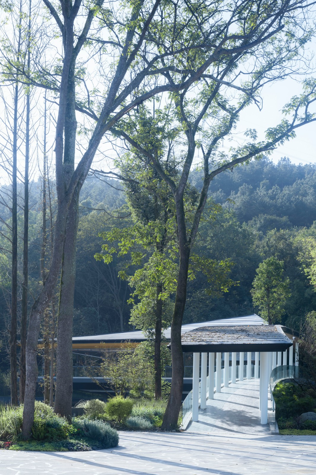 BIM建筑|竹文化的意象解读:崇州·竹艺村游客中心 / 小隐建筑 BIM建筑|竹文化的意象解读:崇州·竹艺村游客中心 / 小隐建筑