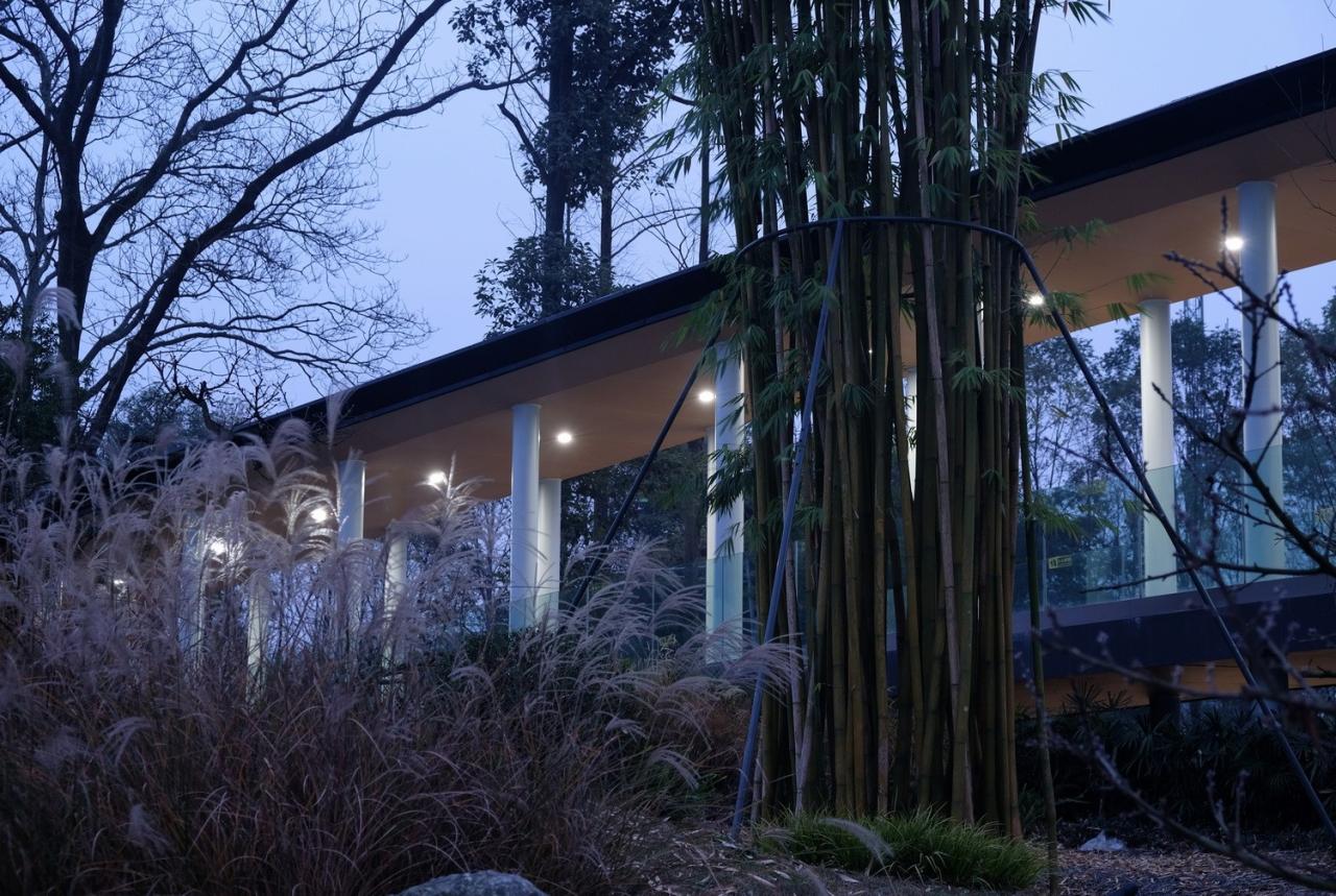 BIM建筑|竹文化的意象解读:崇州·竹艺村游客中心 / 小隐建筑 BIM建筑|竹文化的意象解读:崇州·竹艺村游客中心 / 小隐建筑