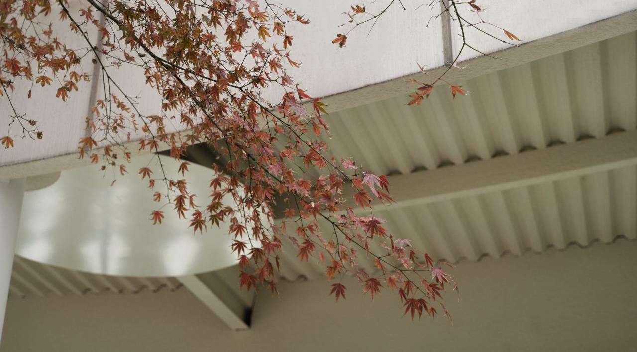 BIM建筑|青枫树下的LOAM瓷屋咖啡 / 八荒设计 BIM建筑|青枫树下的LOAM瓷屋咖啡 / 八荒设计