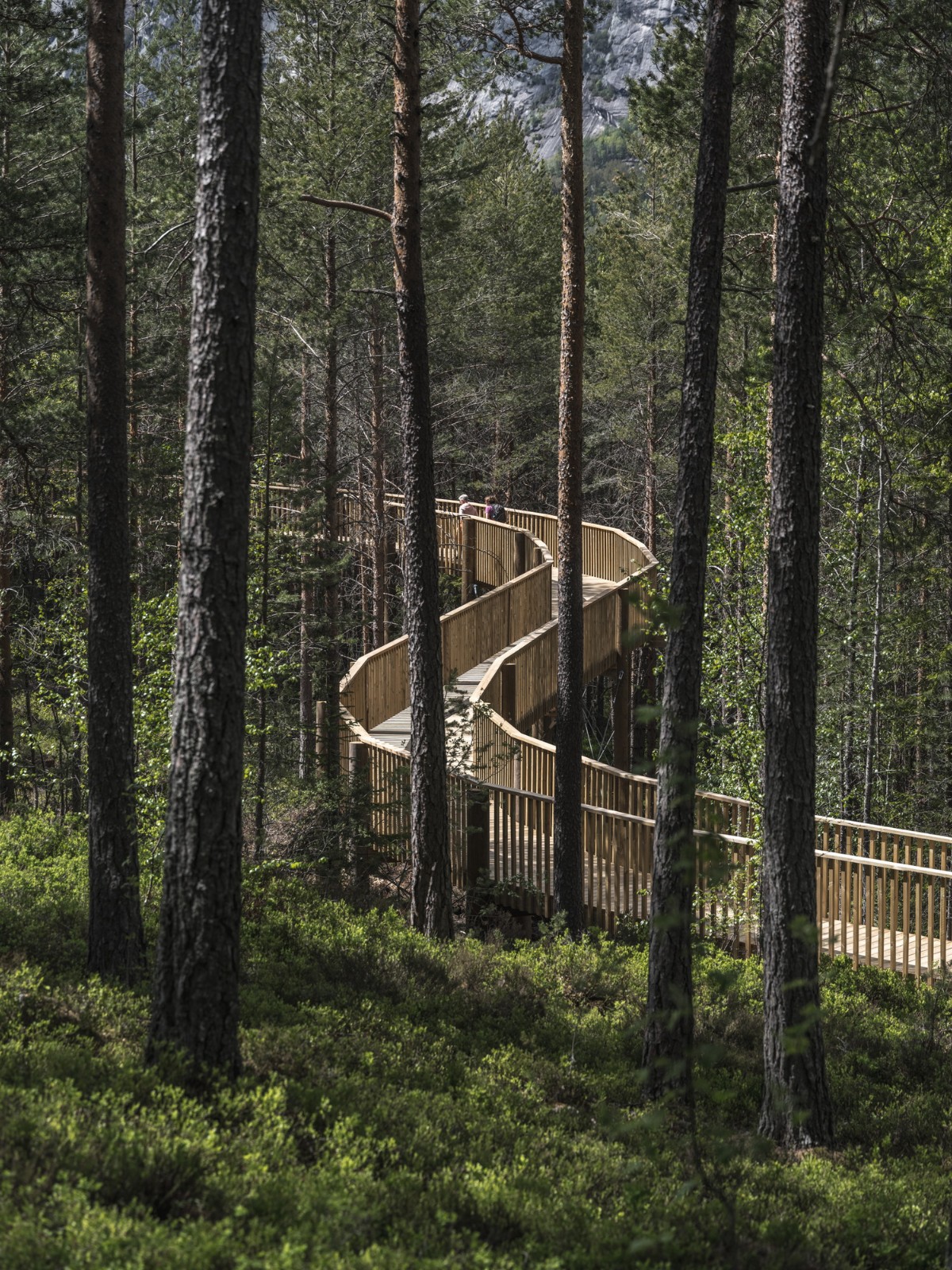 BIM建筑|树顶漫步,Hamaren 活动公园 / EFFEKT BIM建筑|树顶漫步,Hamaren 活动公园 / EFFEKT